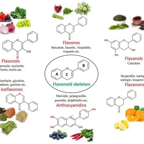 The Importance of Flavonoids