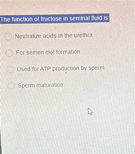 The Importance of Fructose in Seminal Fluid