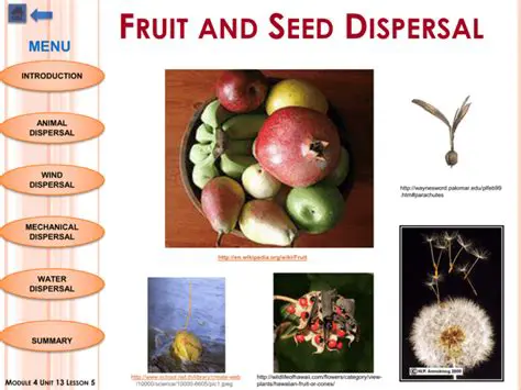 The Importance of Fruit Dispersal