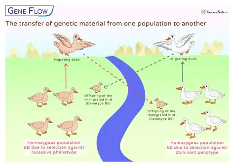 The Importance of Genetic Comparison in Biology