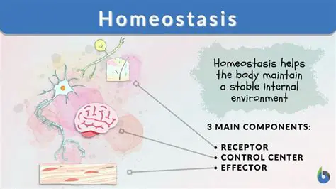 The Importance of Homeostatic Regulation