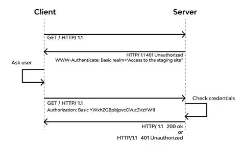 The Importance of HTTP Basic Auth