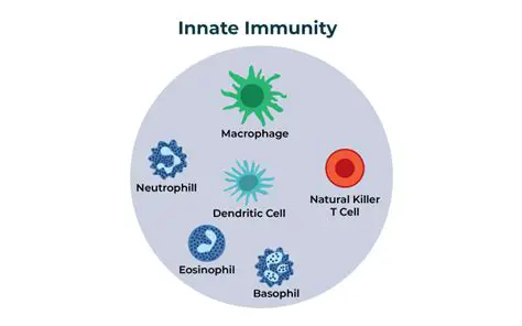 The Importance of Immunity Laws
