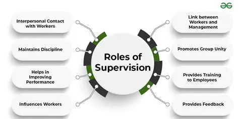 The Importance of Internal Supervision System
