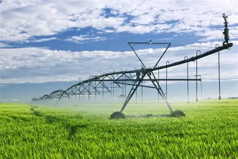 The Importance of Irrigation Scheduling