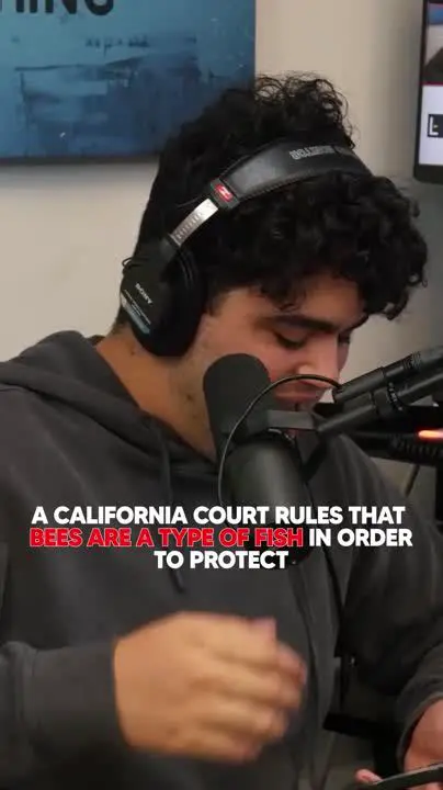 The Importance of Judicial Appointments