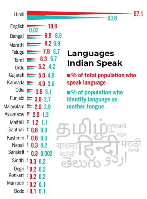 The Importance of Language in South Asia