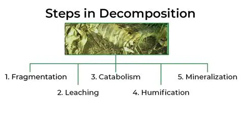The Importance of Leaf Decomposition