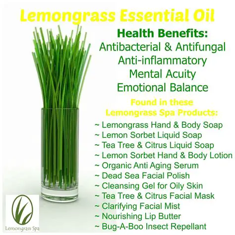 The Importance of Lemongrass Extract