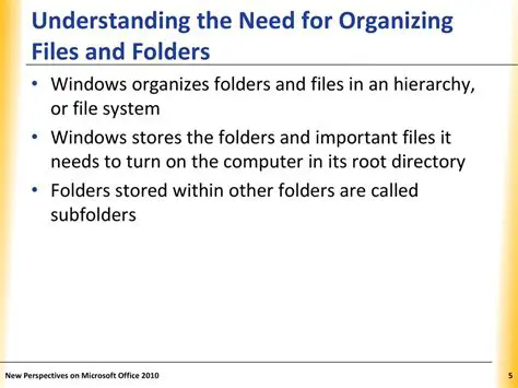 The Importance of Managing Large Files and Folders