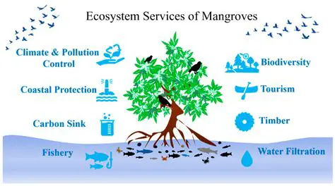 The Importance of Mangrove Conservation