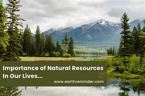 The Importance of Natural Resources in Production
