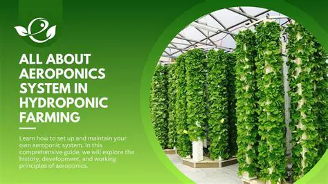 The Importance of Nozzles in Aeroponic Systems