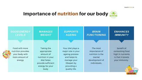 The Importance of Nutrition in the Human Body