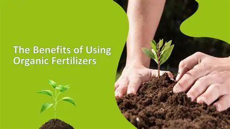 The Importance of Organic Fertilization