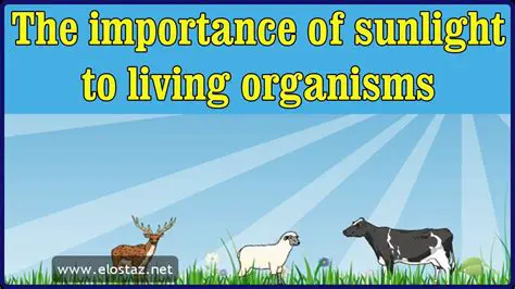 The Importance of Organisms