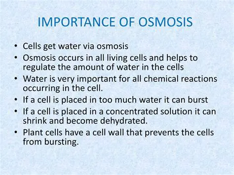 The Importance of Osmosis in Biological Systems