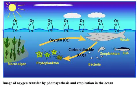 The Importance of Oxygen in Fish Spawning