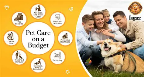 The Importance of Pet Care Organization