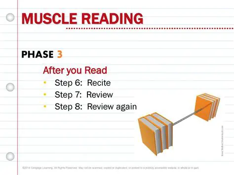 The Importance of Phase 3 in Muscle Reading