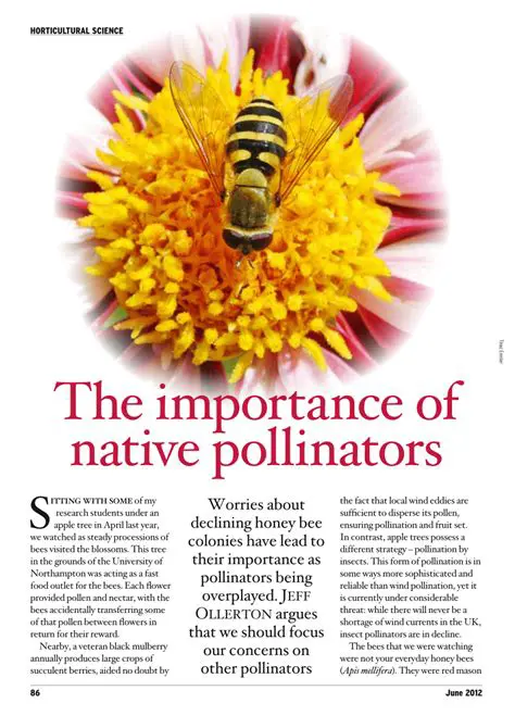 The Importance of Pollinators