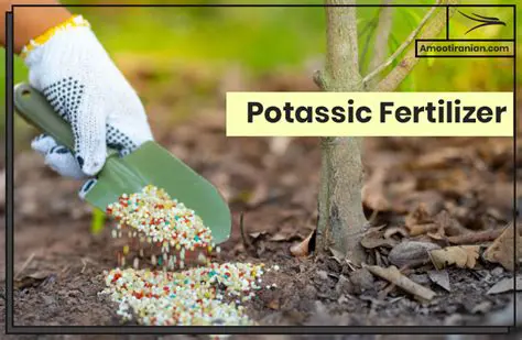 The Importance of Potassium Fertilizer and Pruning