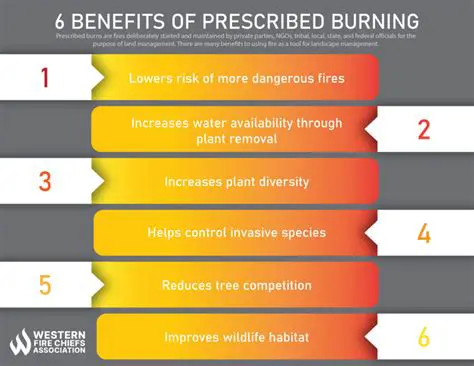The Importance of Prescribed Burns