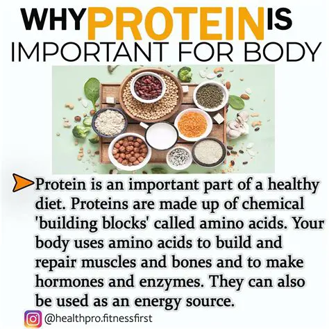 The Importance of Protein Shape
