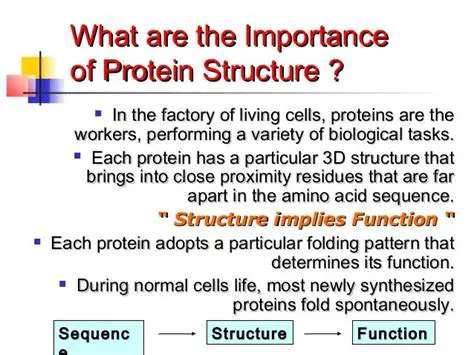 The Importance of Protein Structure