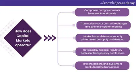 The Importance of Public Accountants in the Capital Market