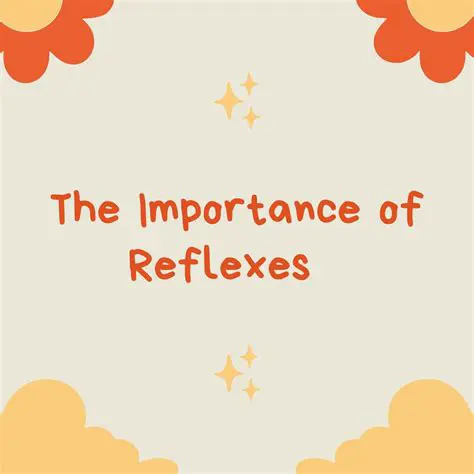 The Importance of Reflexes