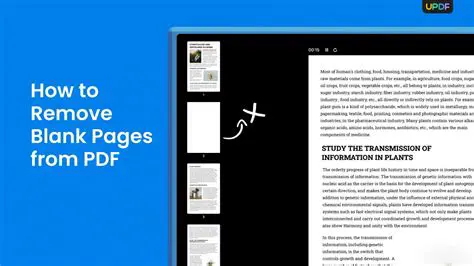 The Importance of Removing Blank Pages from PDF Files