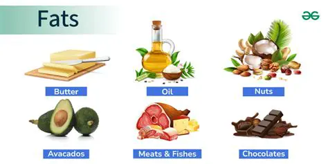 The Importance of Saturated Fats in the Diet