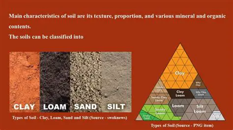 The Importance of Soil Classification