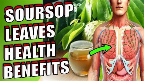 The Importance of Soursop Leaf in Traditional Medicine