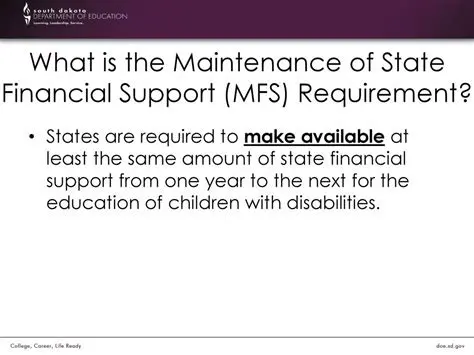 The Importance of State Financial Supervision