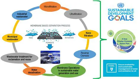 The Importance of Sustainable Surfactants