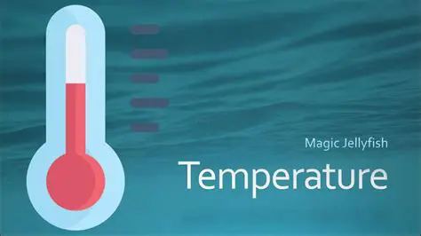 The Importance of Temperature