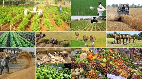 The Importance of the Agricultural Sector in Humbahas Regency