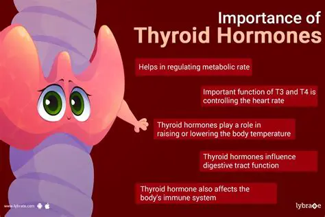 The Importance of Thyroid Hormones