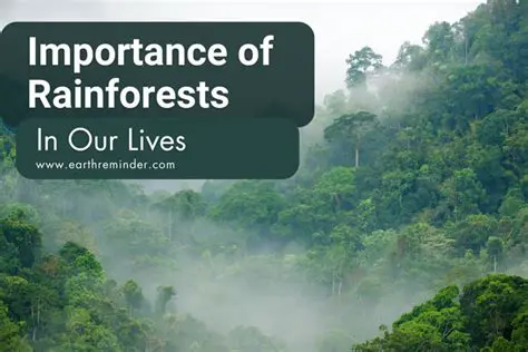 The Importance of Tropical Rainforests in Regulating the Global Climate