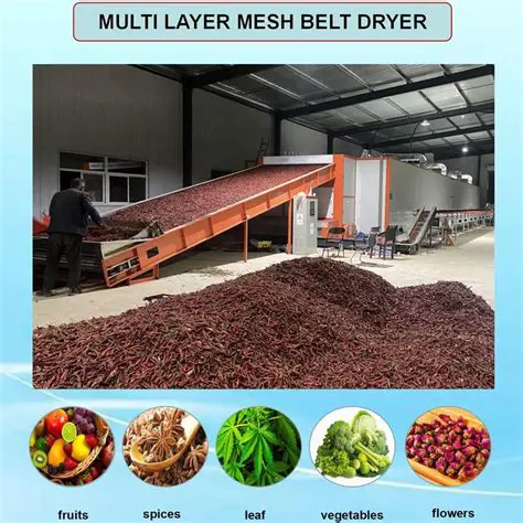 The Importance of Turmeric Dryer