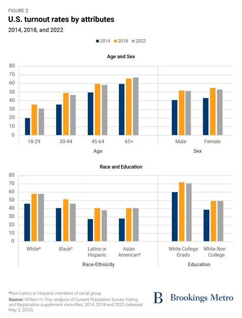The Importance of Understanding Election Turnout Trends