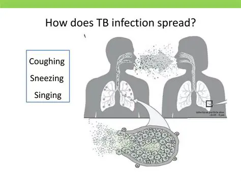 The Importance of Understanding TB Characteristics