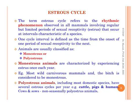 The Importance of Understanding the Estrus Cycle