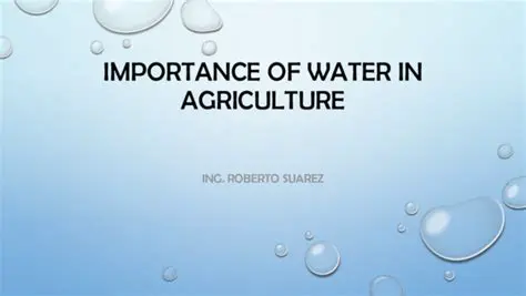 The Importance of Water in Agriculture
