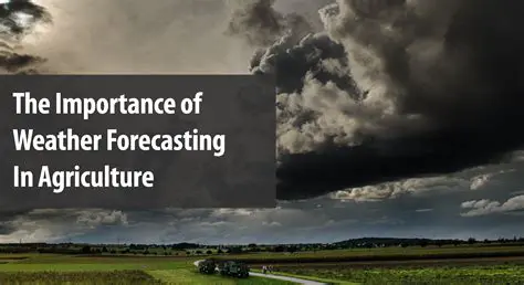 The Importance of Weather Forecasts in Drought Management