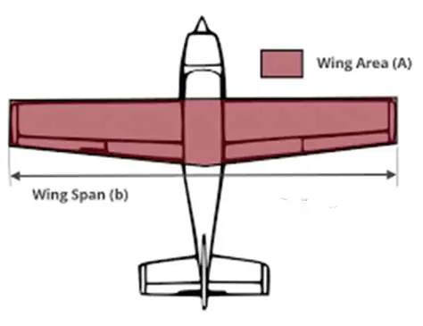 The Importance of Wing Area