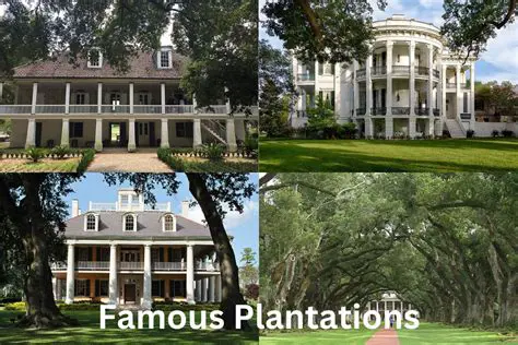 The Important Role of Plantations in North Sumatra