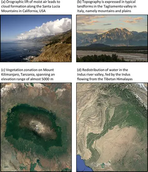 The Influence of Topography